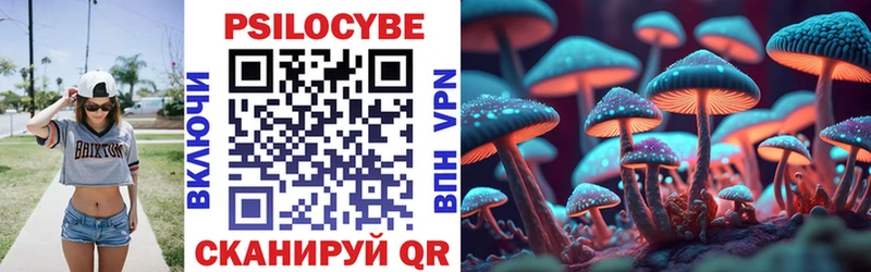Псилоцибиновые грибы GOLDEN TEACHER Жуков